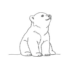 Adorable Polar Bear Cub Sketch, Wildlife Drawing For Children