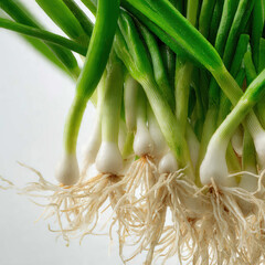 Close-up of green onions highlighting natural shine, layered greens, and firm bulbs. Great for meal prep visuals, vegetarian themes, and organic produce promotions.