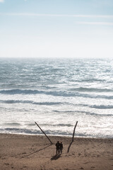 man and woman walking on the beach