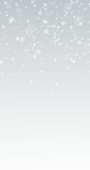 Soft snowflakes fall gently downwards, forming a vertical composition with an aspect ratio of 9:16, surrounded by bokeh on a transparent background.