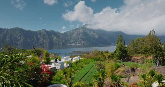 Tropical nature landscape of Lake Batur with Mount Abang volcano partly covered by clouds, green hills, agriculture terraces fields, and palm trees under bright blue sky. Aerial drone flight footage