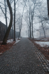 city path in the fog