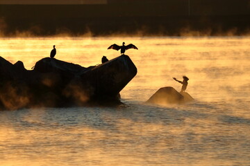 鵜の羽干し　（高知県　中土佐町久礼）