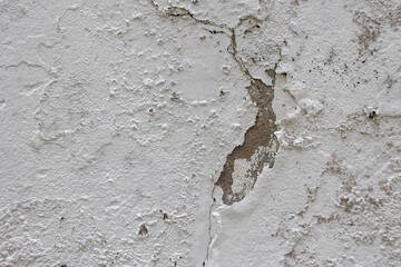 Peeling white paint revealing cracked grey wall texture