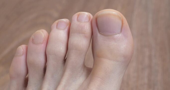 Perfect male foot with uncut nails. Beautiful foot and toes of an adult man. Man wiggles his toes