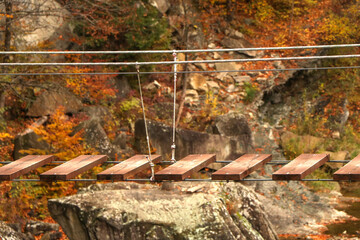 Suspended Wooden Plank Bridge in Autumn Forest. Rustic Adventure Pathway Over Rocks and Vibrant Fall Foliage. Autumn concept for extreme sports enthusiasts