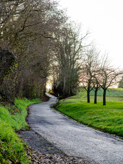 Feldweg