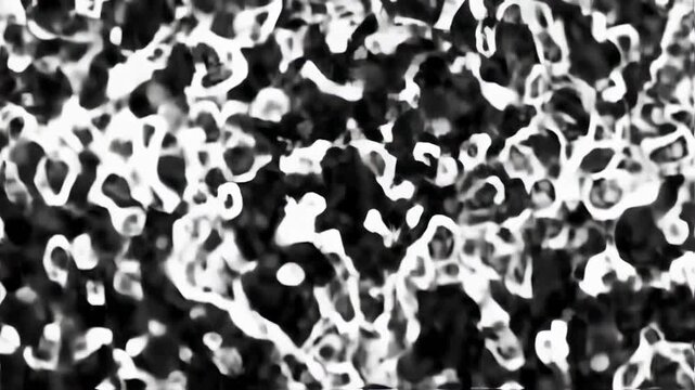 A blurred, abstract design using black and white. Features undefined shapes, creating a complex, flowing texture