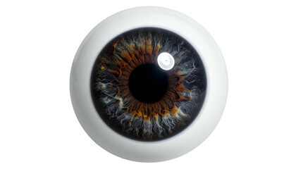 Realistic, detailed, close-up digital render of a human eye with a multi-toned iris © Karta