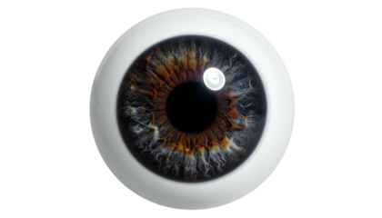Realistic, detailed, close-up digital render of a human eye with a multi-toned iris