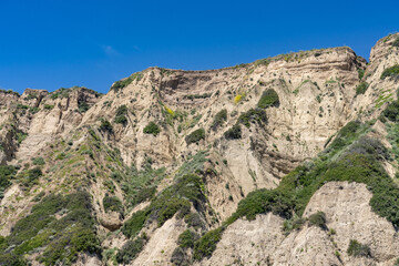 Wildflowers on the hillside in April. La Conchita, Ventura County, California. Red Mountain(Santa Ynez Mountains). coastal terrace. U.S. Route 101, or U.S. Highway 101 (US 101)
