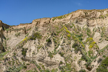 Wildflowers on the hillside in April. La Conchita, Ventura County, California. Red Mountain(Santa Ynez Mountains). coastal terrace. U.S. Route 101, or U.S. Highway 101 (US 101)
