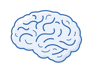 Human brain isolated vector illustration