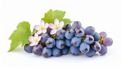 Cluster of Natural Blue Grapes Decorated with Green Leaves and Delicate Pink Flowers on a White Backdrop
