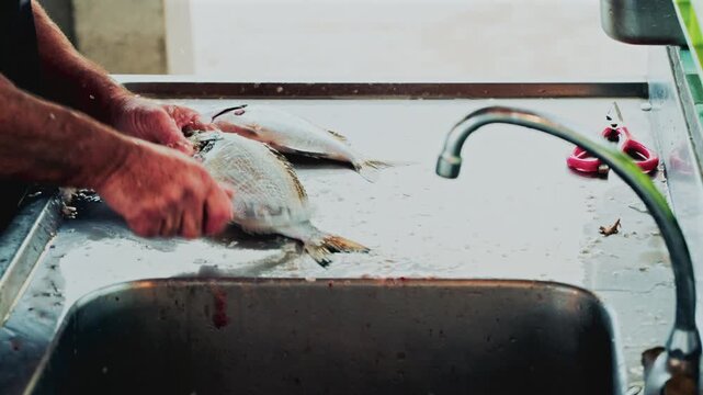 Hands of a fishmonger vigorously cleaning and scaling a fish at a stainless steel sink, water splashing around in a busy market preparation scene