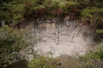 New Zealand Taupo Geothermal Park Eroded Earth Cliff Surrounded Dense