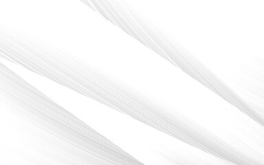 abstract white and silver are light pattern gray with the gradient is the with floor wall metal texture soft tech diagonal background black dark clean modern.