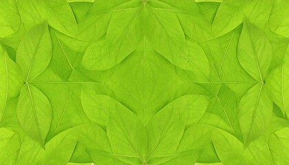 Green leaves background with nature and pattern.