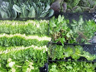 신선함이 살아있는 마트 냉장 코너의 다양한 쌈채소 진열