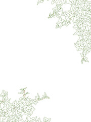 アイビーの線画フレーム②縦_ななめ_カラー