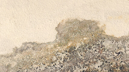 Grungy Water Damage on Textured Beige Stucco Wall: Abstract Background with Mold and Severe Discoloration