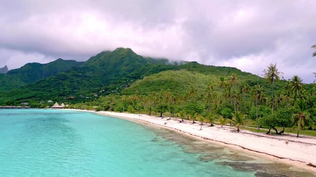 Scenic Aerial shot of Plage de Temae Public Beach in Moorea French Polynesia
