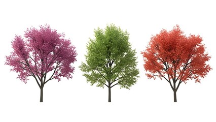 Fototapeta premium Three distinct trees showcasing vibrant foliage in shades of red purple and green against a white background