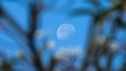 Blue sky and the moon in the morning, Thailand ,selective focus