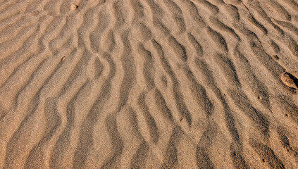 Desert dune textures of the puna region