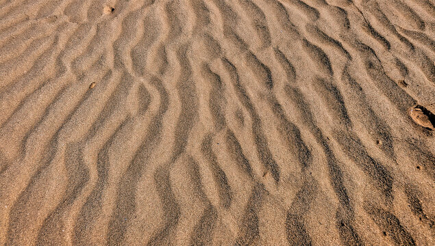 Desert dune textures of the puna region