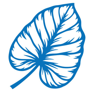 A simplistic bold blue leaf isolated on white background for botanical illustrations