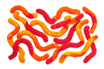 Orange-red, wavy, textured, tubular objects on black