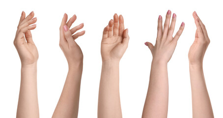 Female hands isolated on white, collection of photos