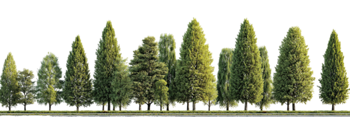Row of varied green trees against black backdrop