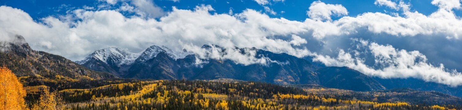 aspen tree panorama with distant mountains and clouds