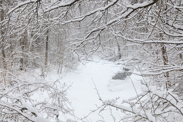 Fototapeta premium Snowy Path in park