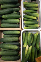 Fresh cucumber green vegetable market produce farm harvest healthy food organic raw pile basket crate