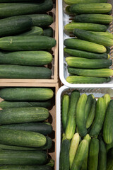 Cucumber vegetable green fresh organic market farm harvest healthy produce packed crates of cucumber vegetable, green fresh organic market farm harvest healthy produce, rustic bins and plastic