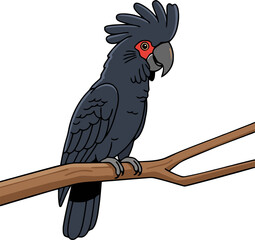 Black Palm Cockatoo Parrot - Animal Character Illustration Isolated on Transparent Background © Hari
