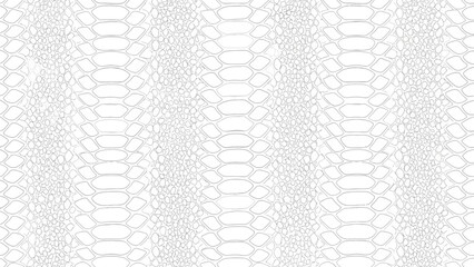 Seamless white snake skin texture pattern for backgrounds