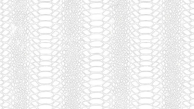 Seamless white snake skin texture pattern for backgrounds