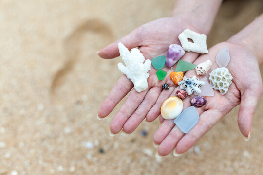 貝殻とシーグラス