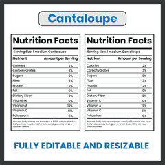 Cantaloupe Melon Illustration – Fresh Orange Fruit Vector