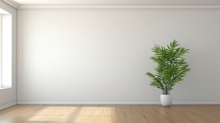 Empty Bright Room with a Large Window and a Potted Green Plant on a Wooden Floor