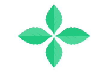 Fresh mint leaves arranged in a symmetrical cross pattern, isolated on white, natural botanical design, herbal greenery, high-resolution minimal composition, plant detail