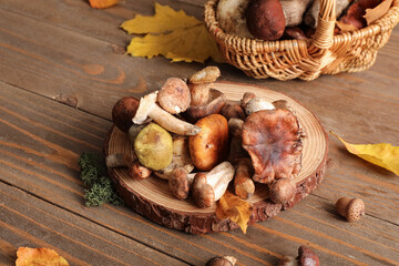 Stand with fresh mushrooms and green moss on wooden table, closeup