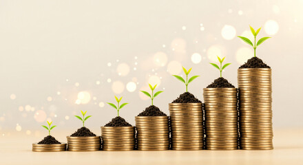 Business Growth and Success Strategies for Investment Opportunities, Innovation, Leadership, and Development in Competitive Markets