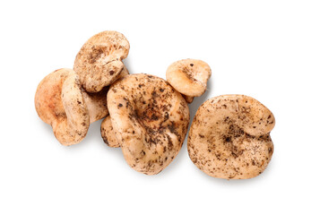 Heap of fresh mushrooms isolated on white background, closeup