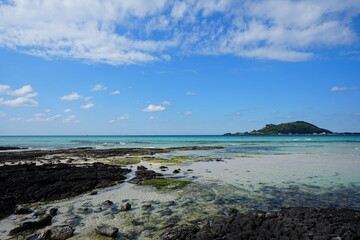 fine sea view with mossy rocks and far island