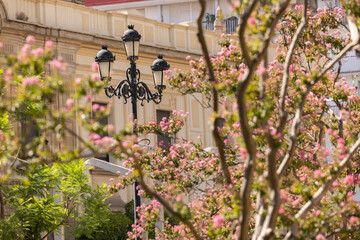 A wrought iron street lamp stands among the historic cityscape of Seville, Andalusia, Spain.